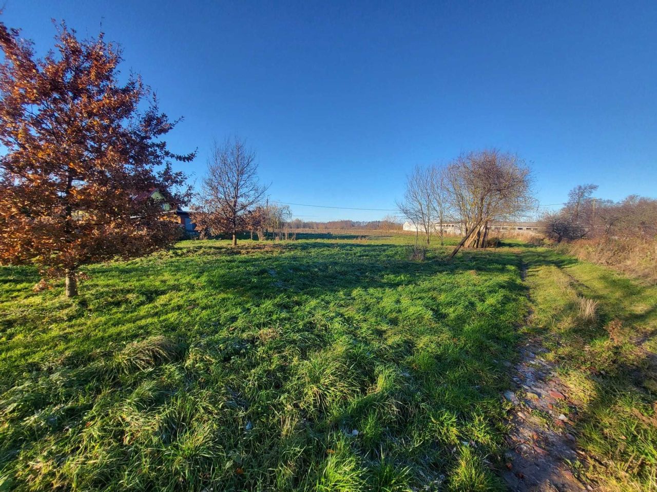 Działka rolna Bielkowo. Zdjęcie 6