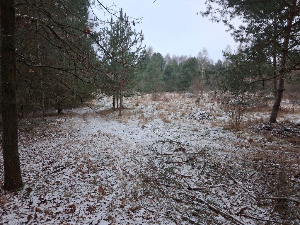 Działka rolna Stanisławów. Zdjęcie 7