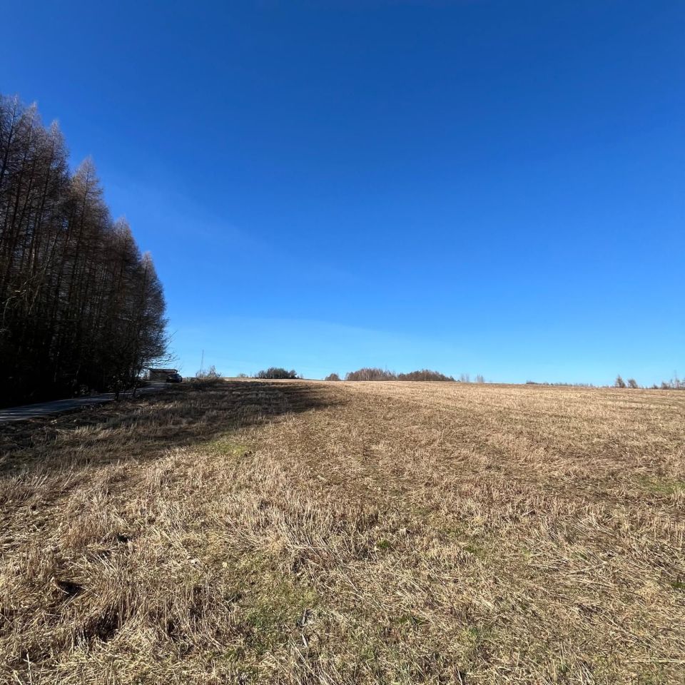 Działka budowlana Tuchów. Zdjęcie 8