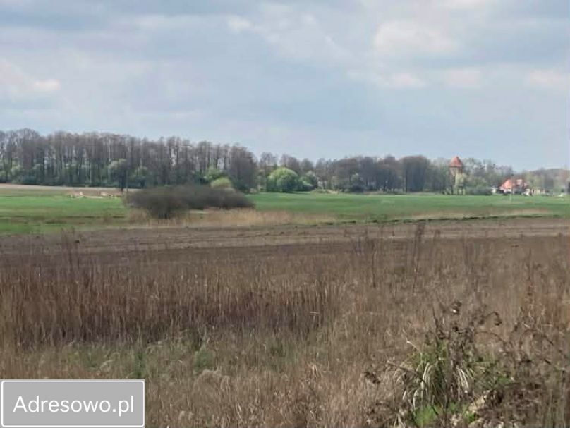 Działka budowlana Paniówki, ul. Zabrska. Zdjęcie 8