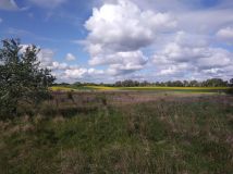 Działka rolno-budowlana Ustowo. Zdjęcie 3