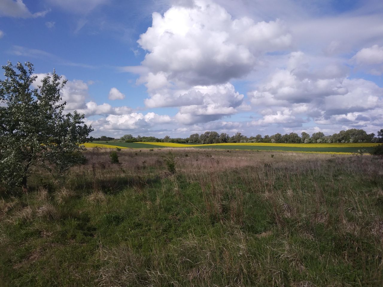 Działka rolno-budowlana Ustowo. Zdjęcie 4