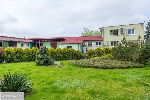 Hala/magazyn Żółwin, ul. Południowa. Zdjęcie 1