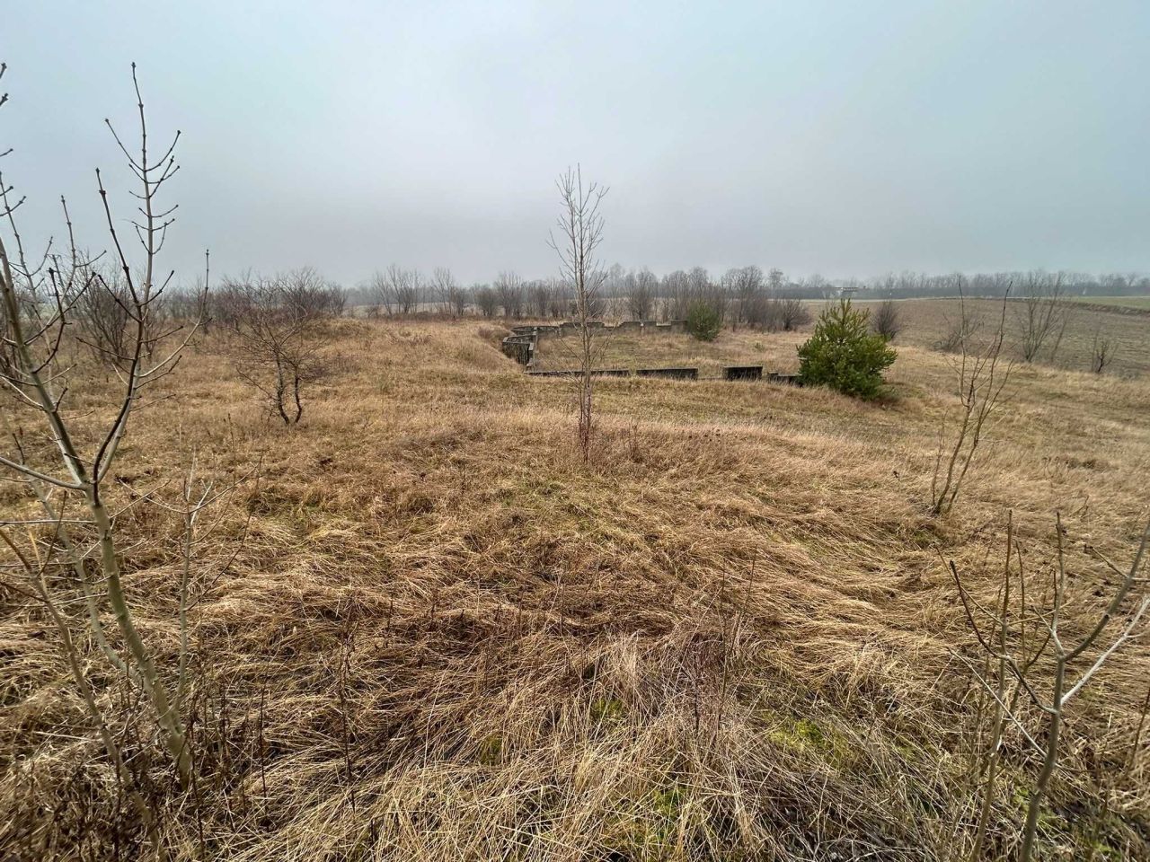 Działka rolna Goryszewo. Zdjęcie 4