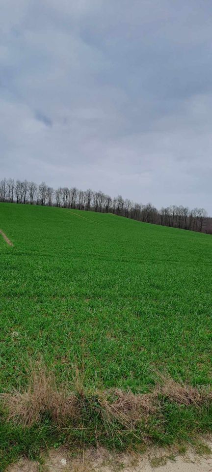 Działka budowlana Karbowo, ul. Myśliwska. Zdjęcie 3