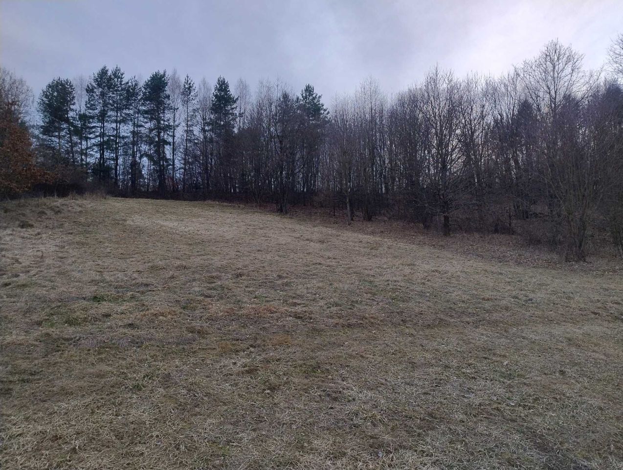 Działka rolno-budowlana Humniska. Zdjęcie 2