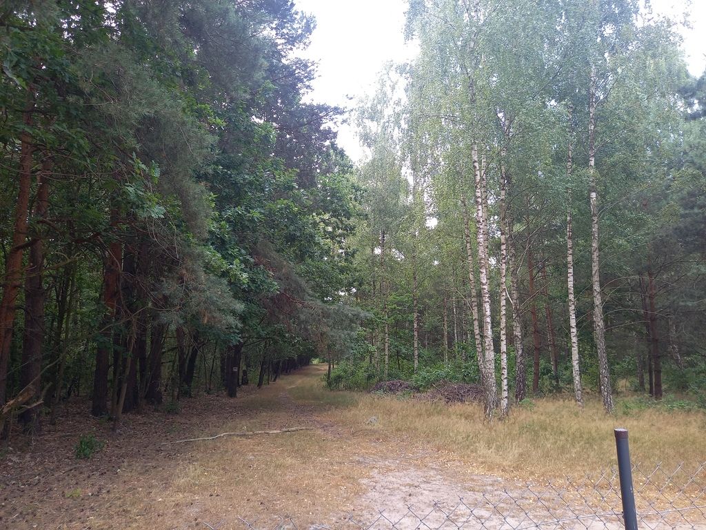 Działka budowlana Korzeniówka