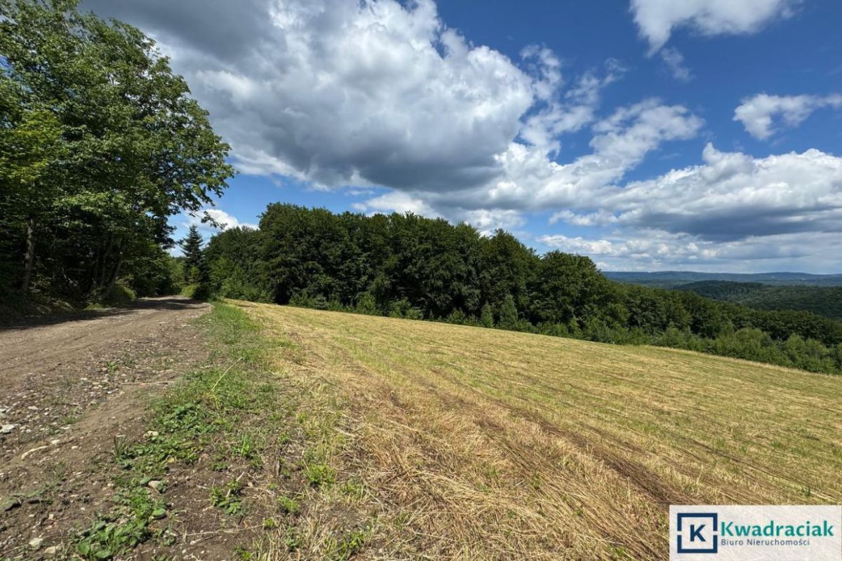 Działka siedliskowa Myczków. Zdjęcie 8