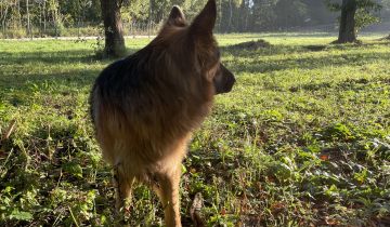 Działka rolno-budowlana Drawsko Pomorskie Okrze, ul. Stefana Okrzei