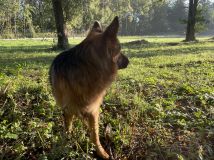 Działka rolno-budowlana Drawsko Pomorskie Okrze, ul. Stefana Okrzei. Zdjęcie 1