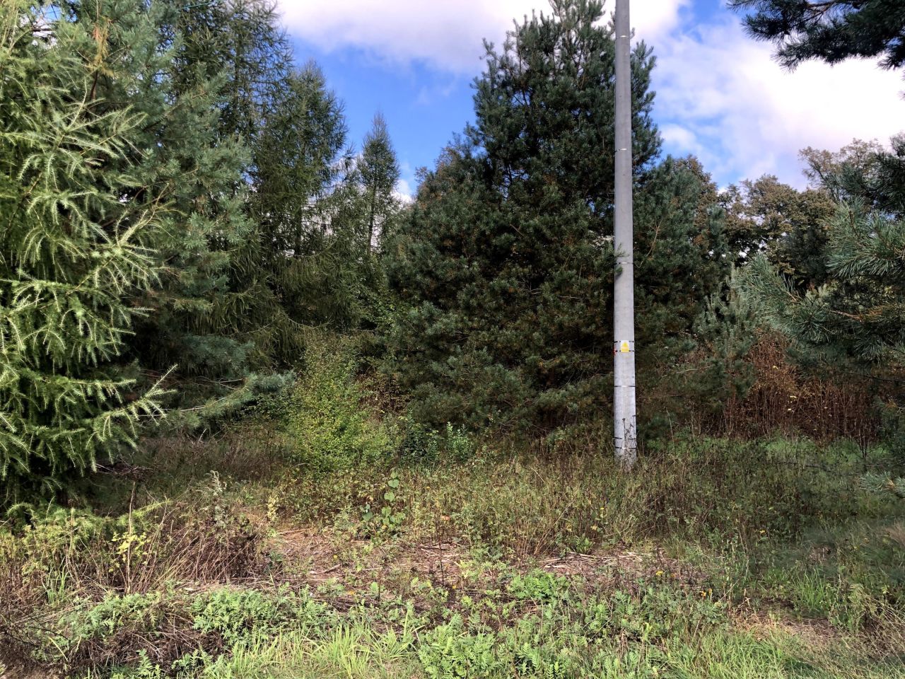 Działka budowlana Gonty, ul. Przy Rybakówce. Zdjęcie 4