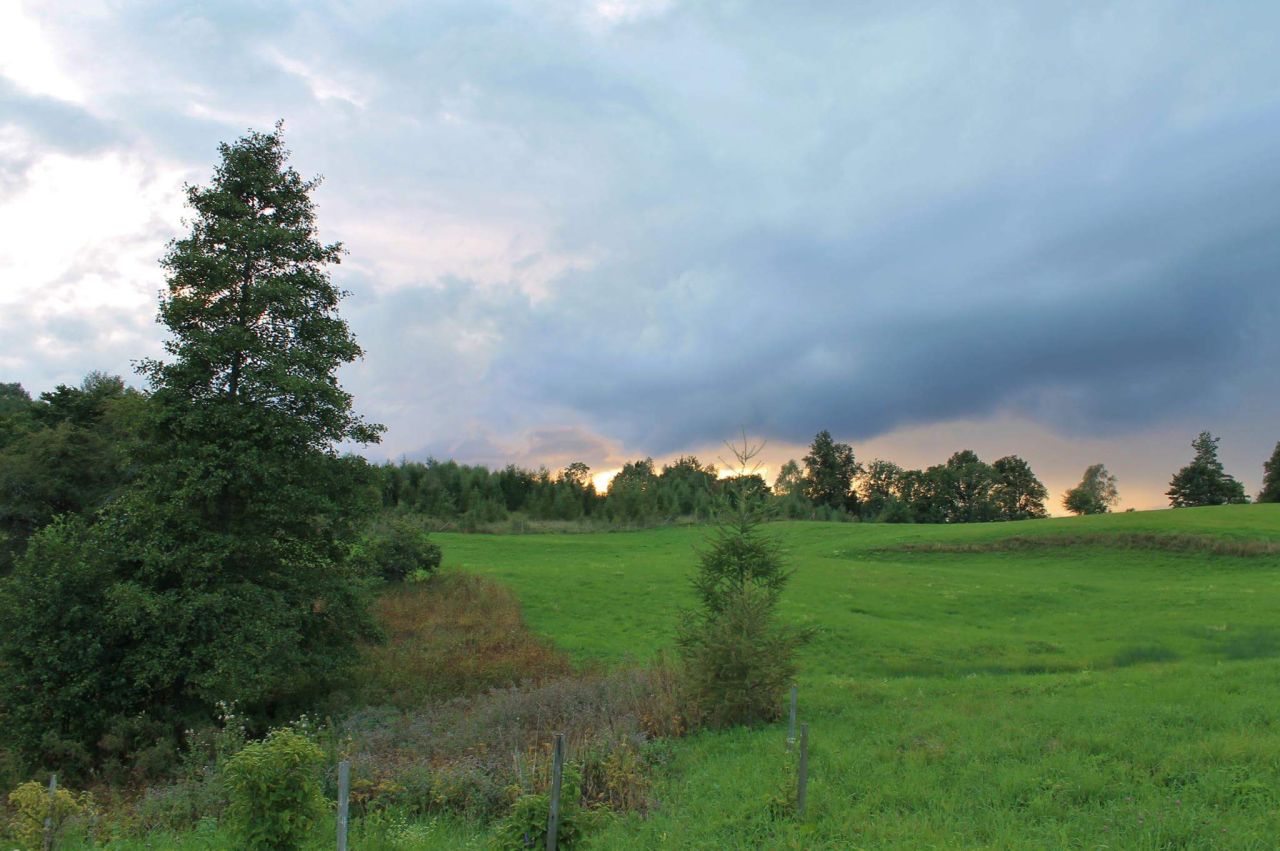 dom wolnostojący, 10 pokoi Zięby. Zdjęcie 8