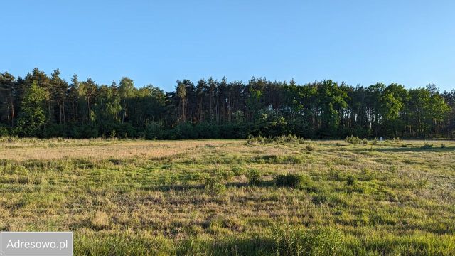 Działka budowlana Emilianów. Zdjęcie 1