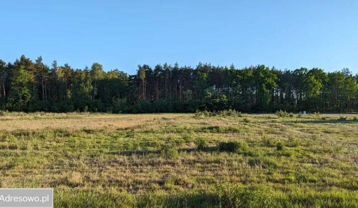 Działka budowlana Emilianów