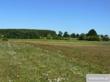 Działka rolna Mysłowice. Zdjęcie 4