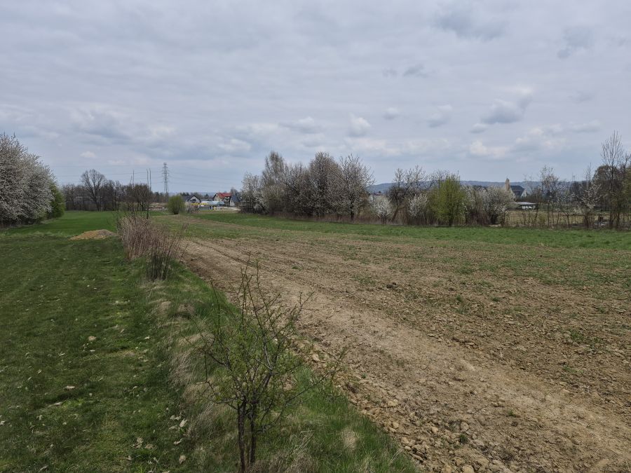 Działka rolno-budowlana Koszyce Małe. Zdjęcie 15