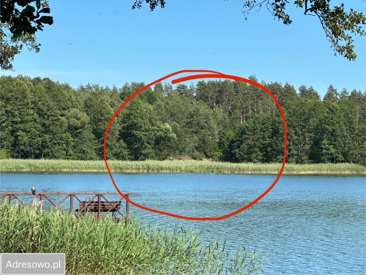 Działka budowlana Augustów Sajenek, ul. Jutrzenki. Zdjęcie 3