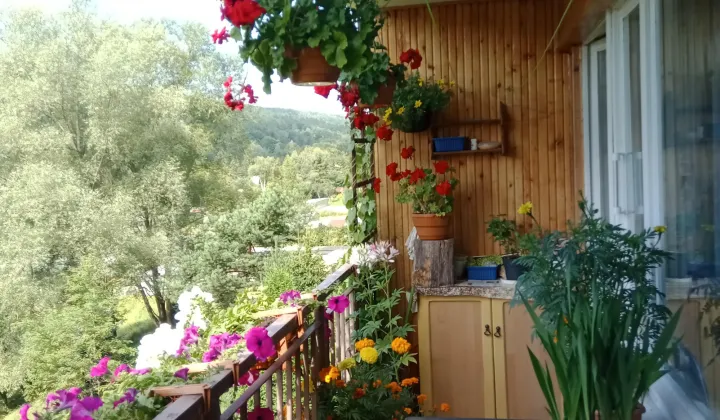 Mieszkanie 3-pokojowe Ustrzyki Dolne, ul. PCK
