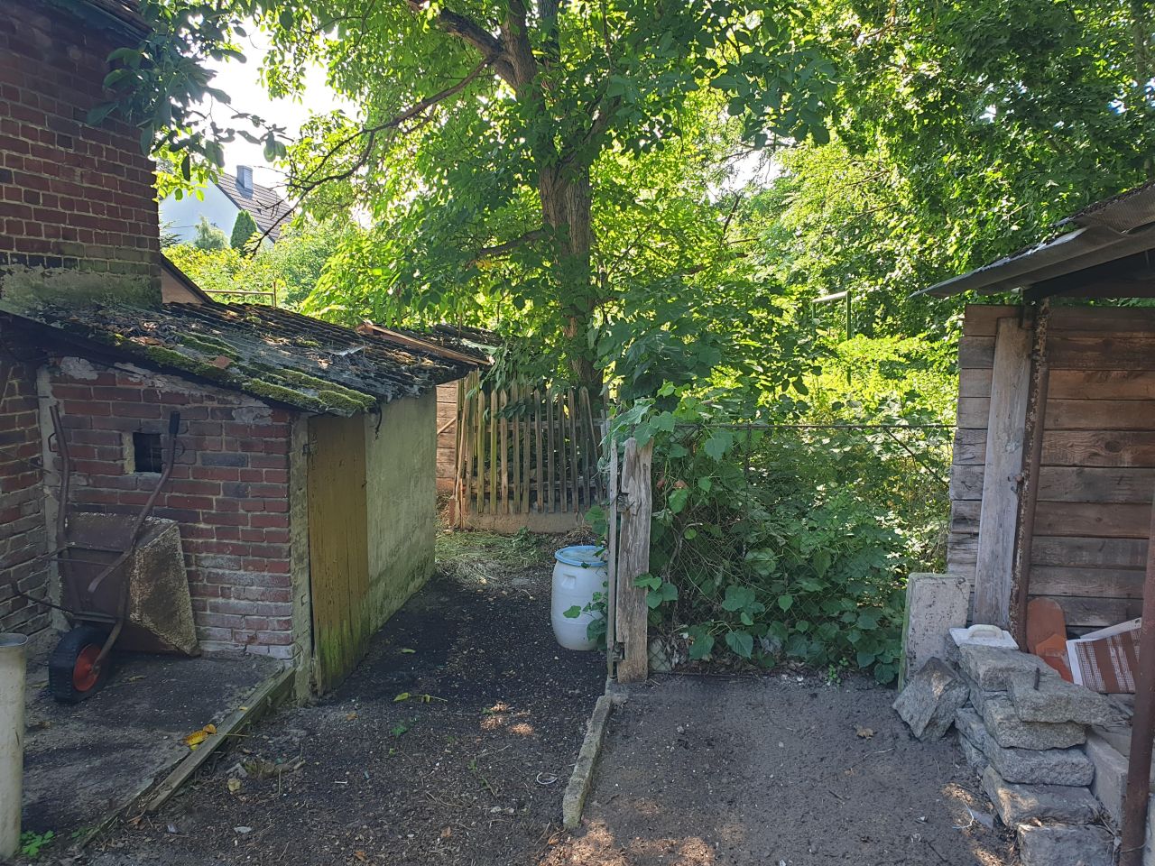 gospodarstwo, 5 pokoi Krosno Odrzańskie, ul. Wiejska. Zdjęcie 17