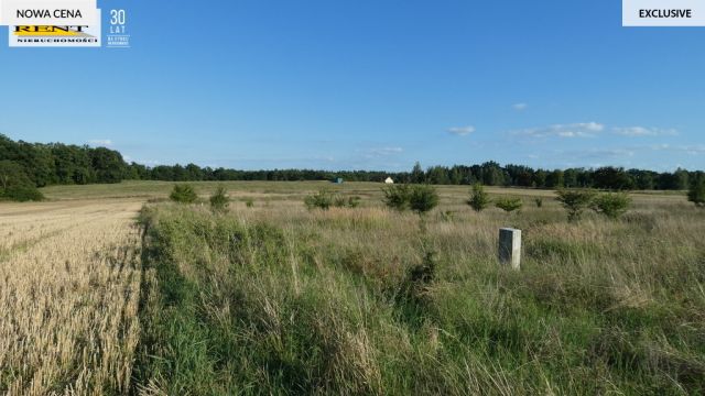 Działka rolna Kamieniec. Zdjęcie 1