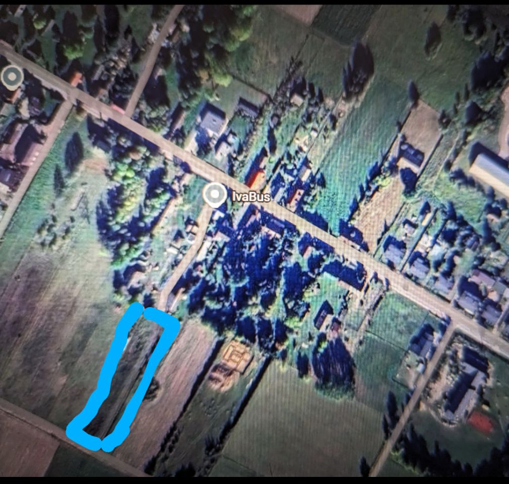 Działka rolna Dobrzyniówka. Zdjęcie 4