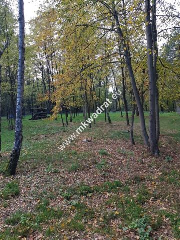 Działka budowlana Budy Mszczonowskie. Zdjęcie 5