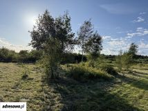 Działka rolna Sulicice. Zdjęcie 3
