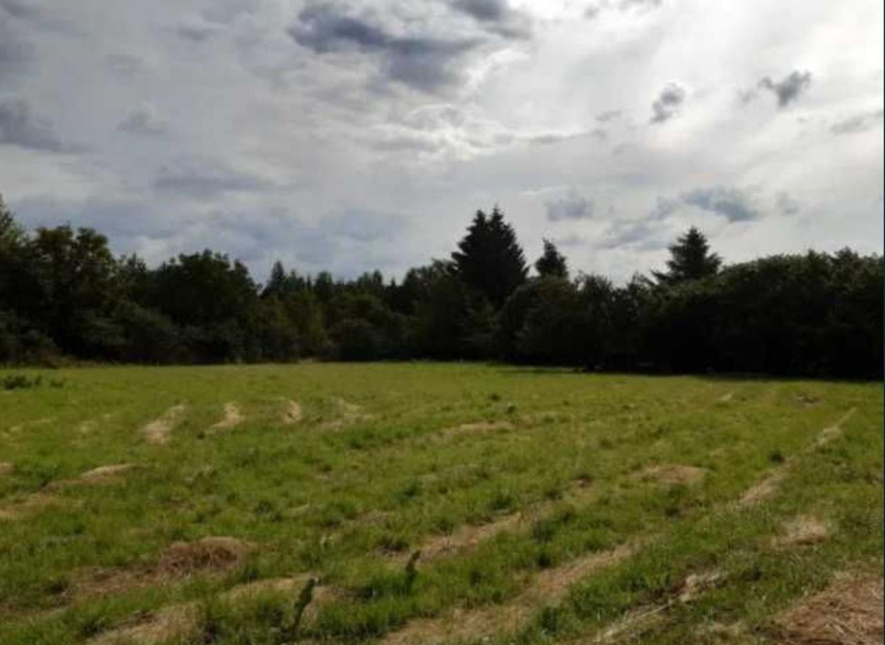 Działka budowlana Zamość Zamczysko, ul. Lipska. Zdjęcie 5