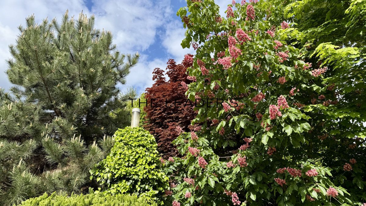 bliźniak, 4 pokoje Warszawa Mokotów. Zdjęcie 20