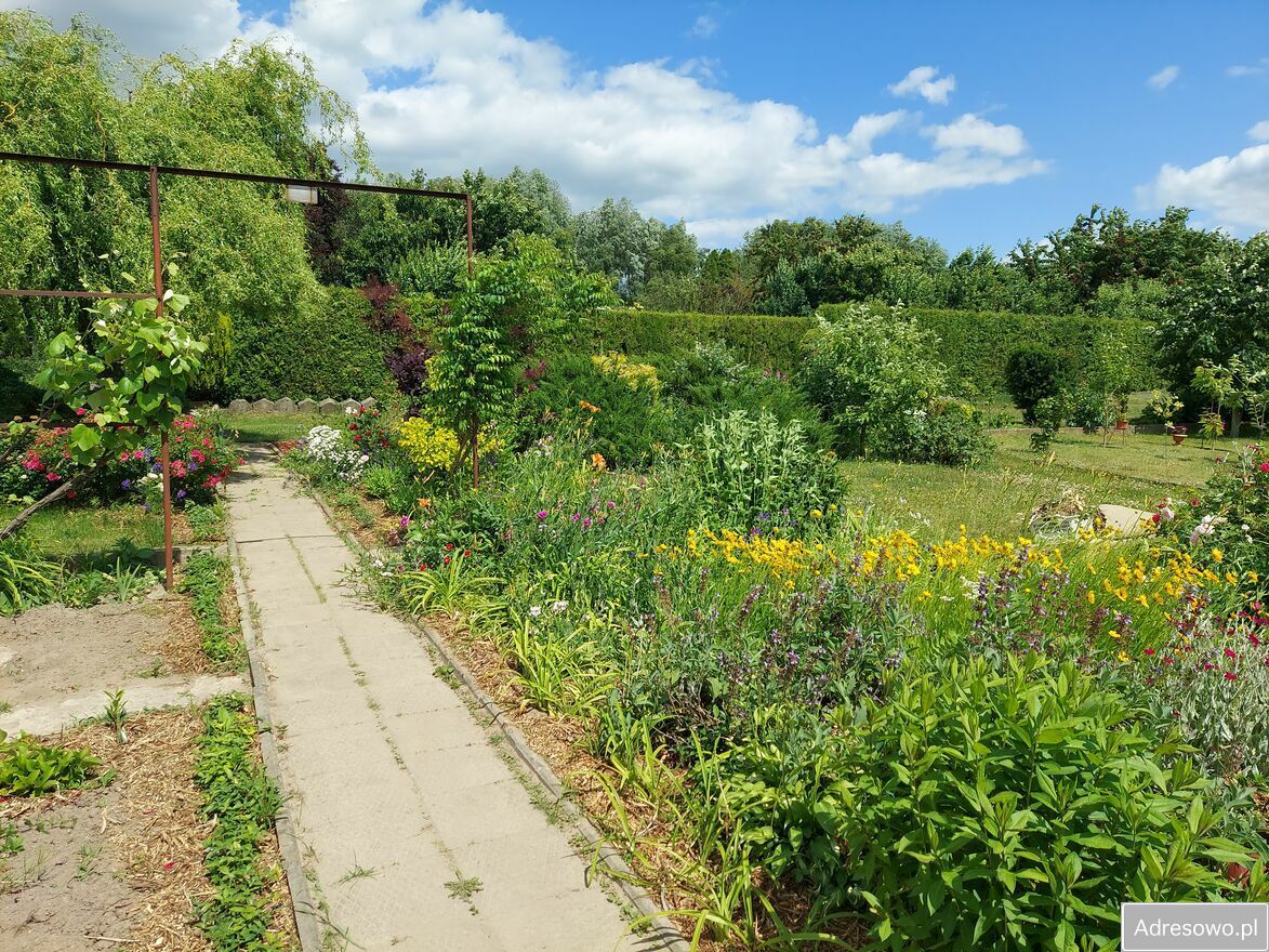 Działka rod Śrem, ul. Józefa Chełmońskiego. Zdjęcie 7