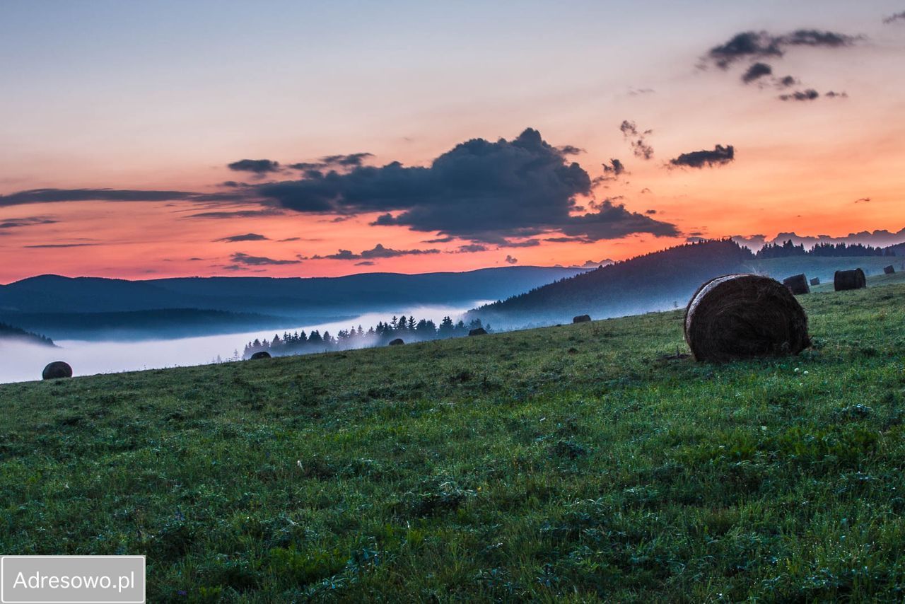 dom wolnostojący, 2 pokoje Gniewoszów. Zdjęcie 9