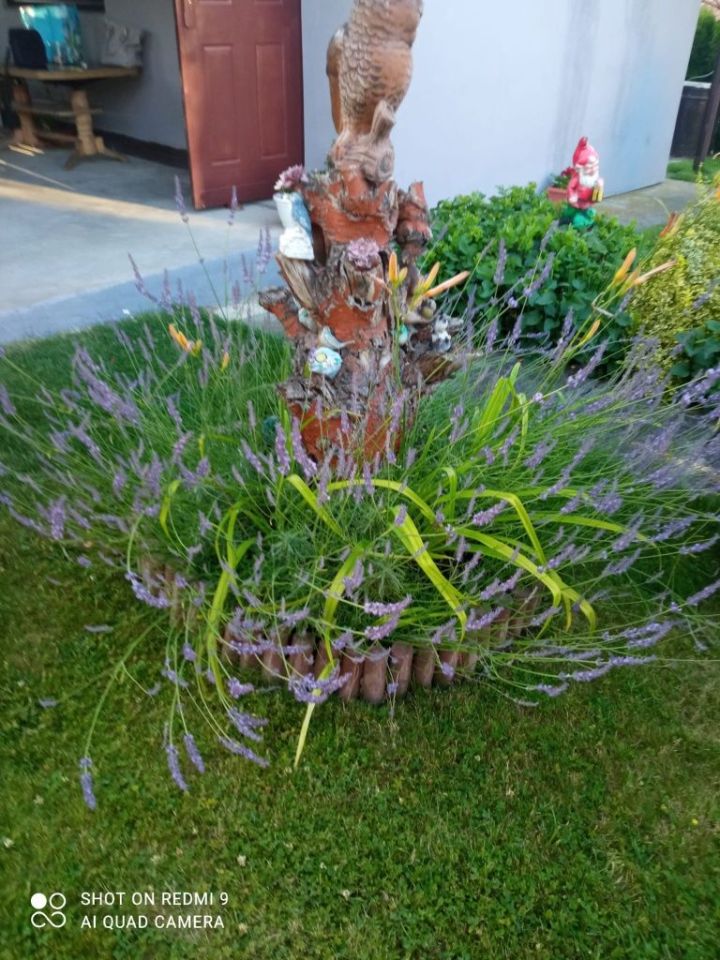 Działka rod Żory, ul. Okrężna. Zdjęcie 2