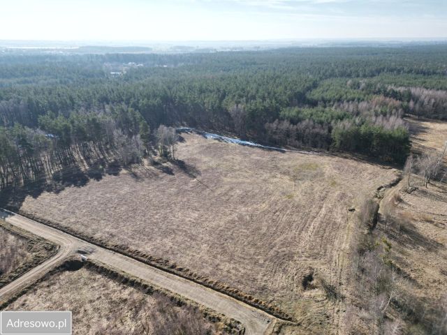 Działka inwestycyjna Chwaszczyno. Zdjęcie 1