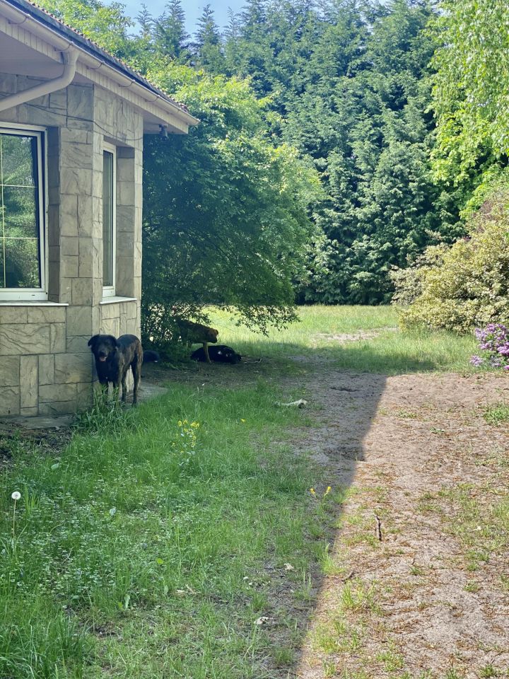 dom wolnostojący, 6 pokoi Świnoujście Łunowo, ul. Zalewowa. Zdjęcie 24