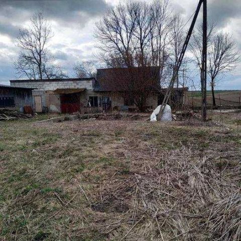 Działka rolno-budowlana Wola Trzydnicka. Zdjęcie 1