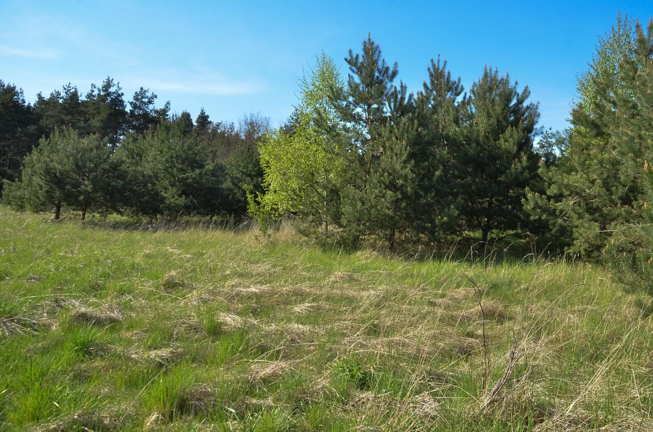 Działka budowlana Skierniewice Rawka, ul. Warszawska. Zdjęcie 2