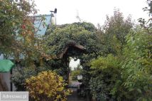 Działka rod Lubin. Zdjęcie 1