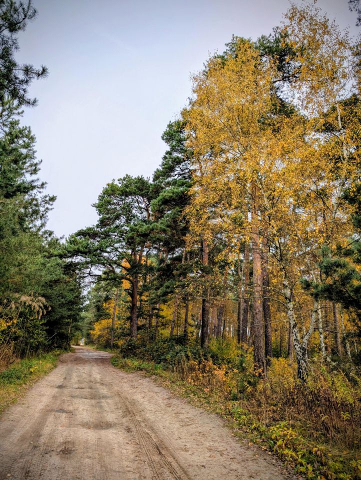 Działka rekreacyjna Kępa. Zdjęcie 8