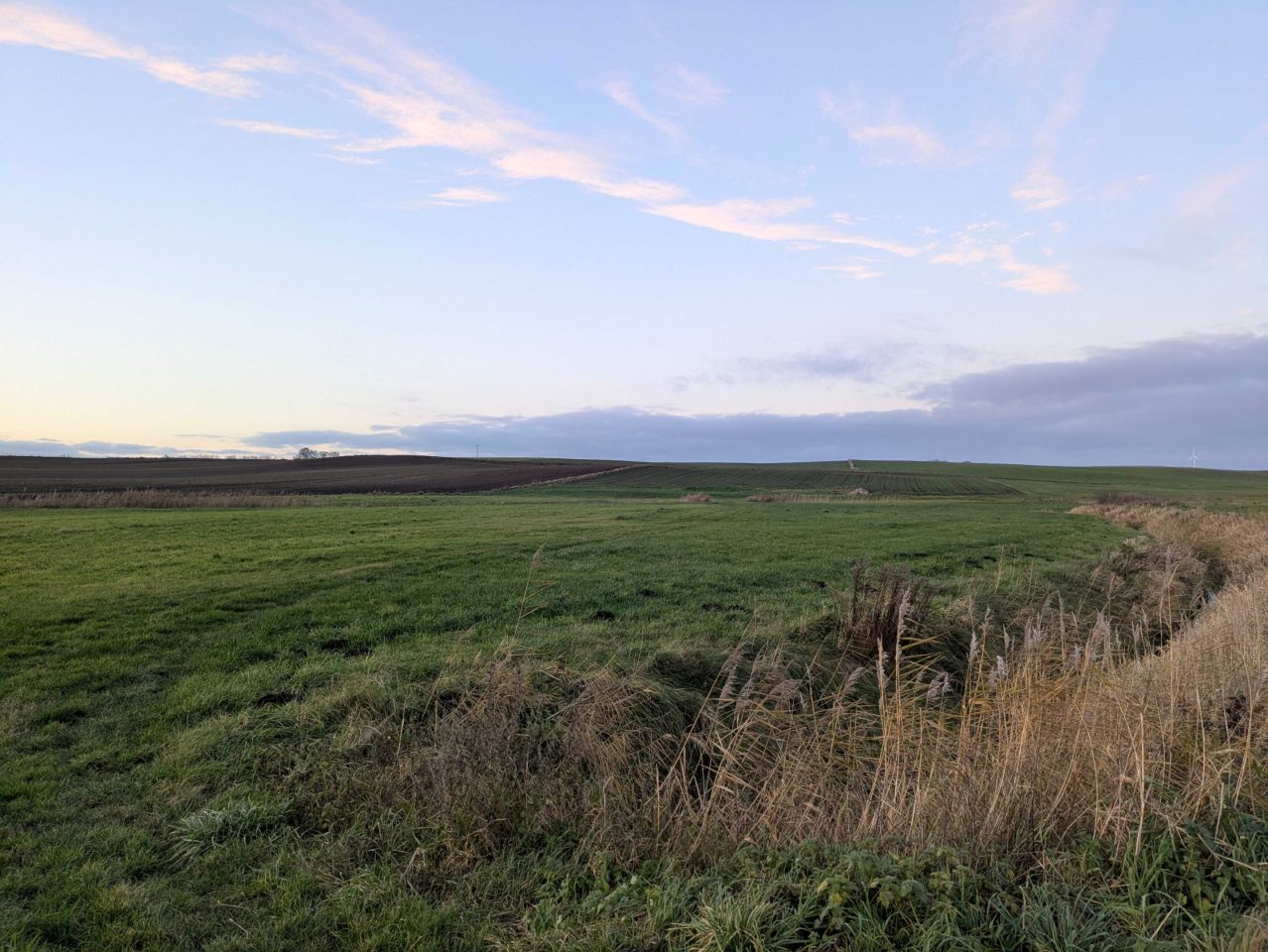 Działka rolna Lubawa. Zdjęcie 4