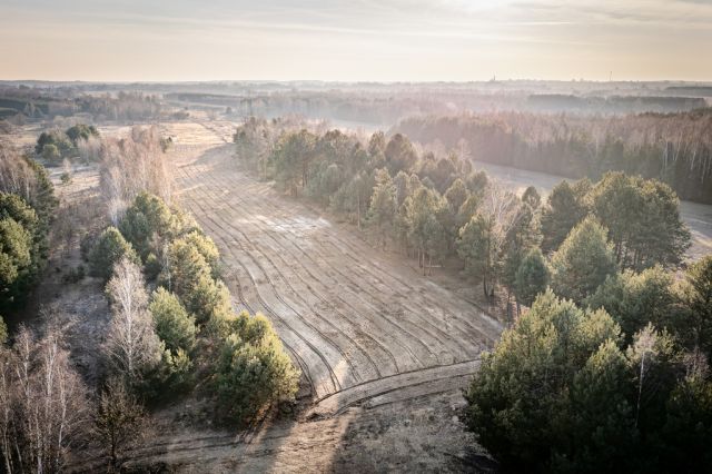 Działka budowlana Wola Raniżowska. Zdjęcie 1