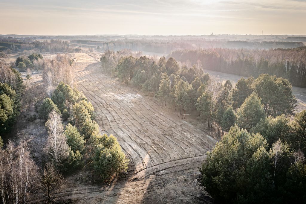 Działka budowlana Wola Raniżowska. Zdjęcie 1