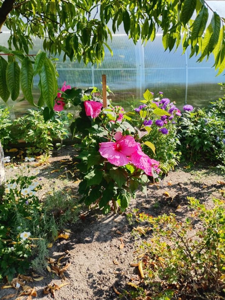 Działka rod Brodnica. Zdjęcie 5