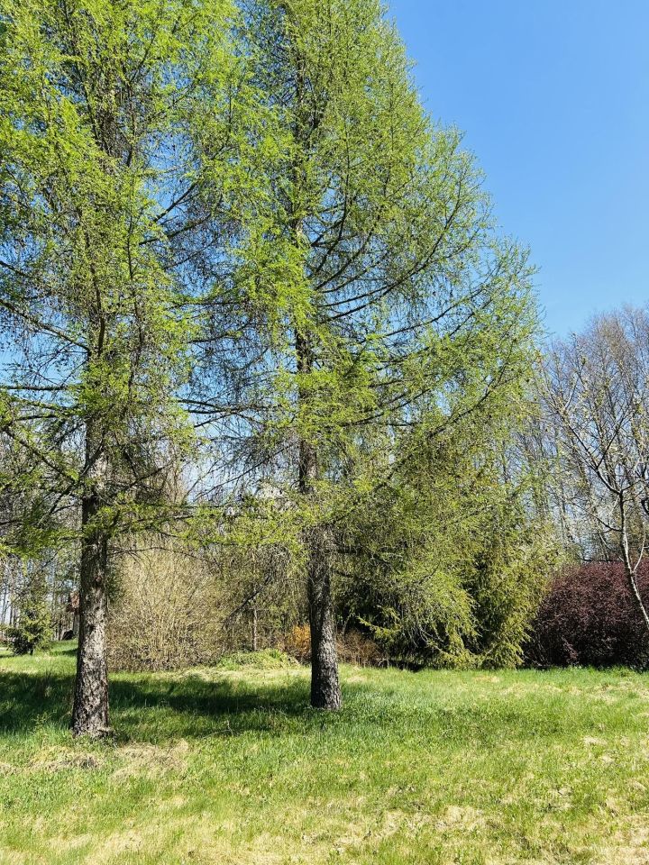 dom wolnostojący, 5 pokoi Blizawy, Blizawy. Zdjęcie 15