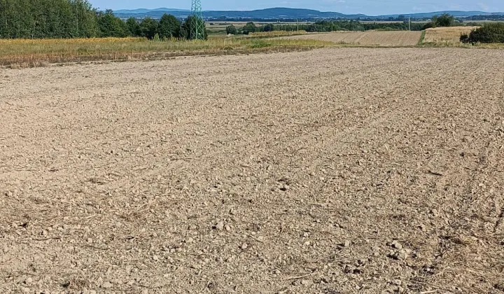 Działka budowlana Milcza, ul. Słoneczna
