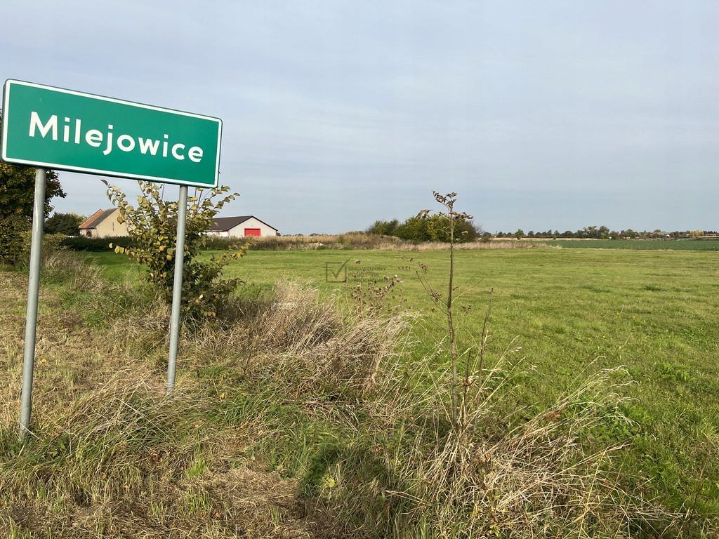 Działka siedliskowa Milejowice