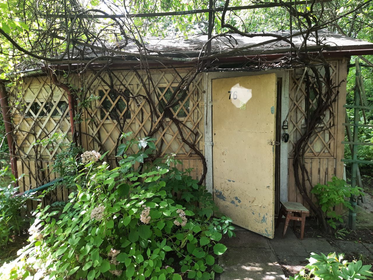 Działka rod Wrocław Krzyki, ul. Józefa Supińskiego. Zdjęcie 7