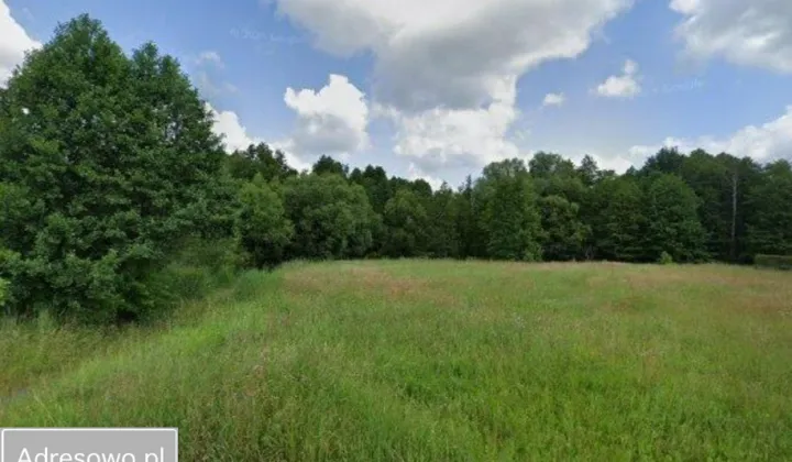 Działka budowlana Wodzisław Śląski, ul. Młodzieżowa