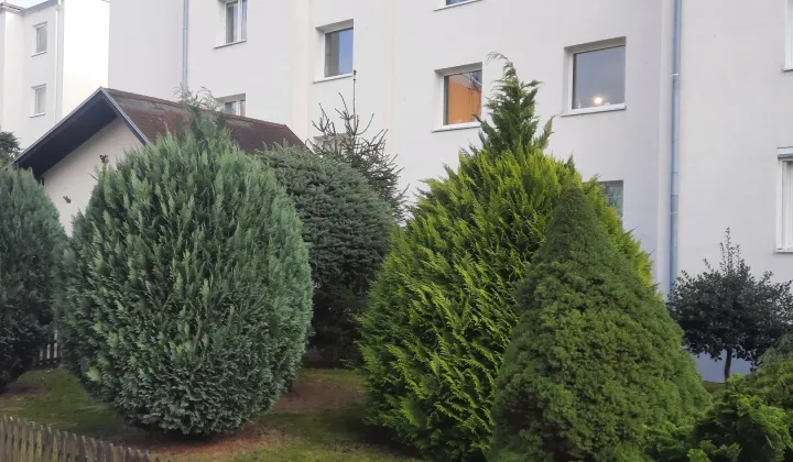 Mieszkanie 2-pokojowe Chojnice, Chojnice