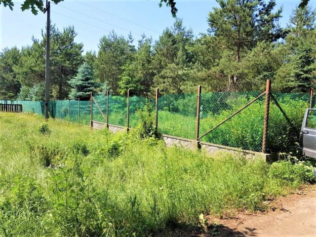 Działka budowlana Głuchów, ul. Spacerowa. Zdjęcie 1