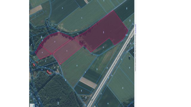 Działka rolna Wojciechów. Zdjęcie 1